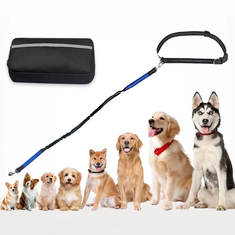 This multifunctional sports waist bag has an extended, thickened leash for hands-free dog walking and running.