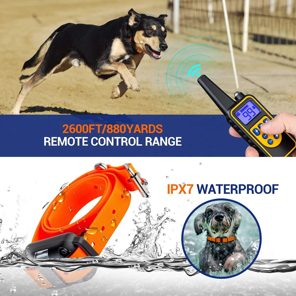Dog Training collar A multi-function, rechargeable with detachable anti-barking features, and remote options for sound vibration, or shock.