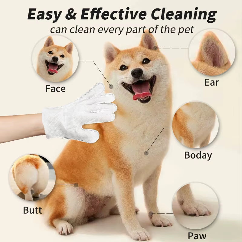Wash-free gloves: Convenient, gentle deodorizing wipes for cats and dogs.