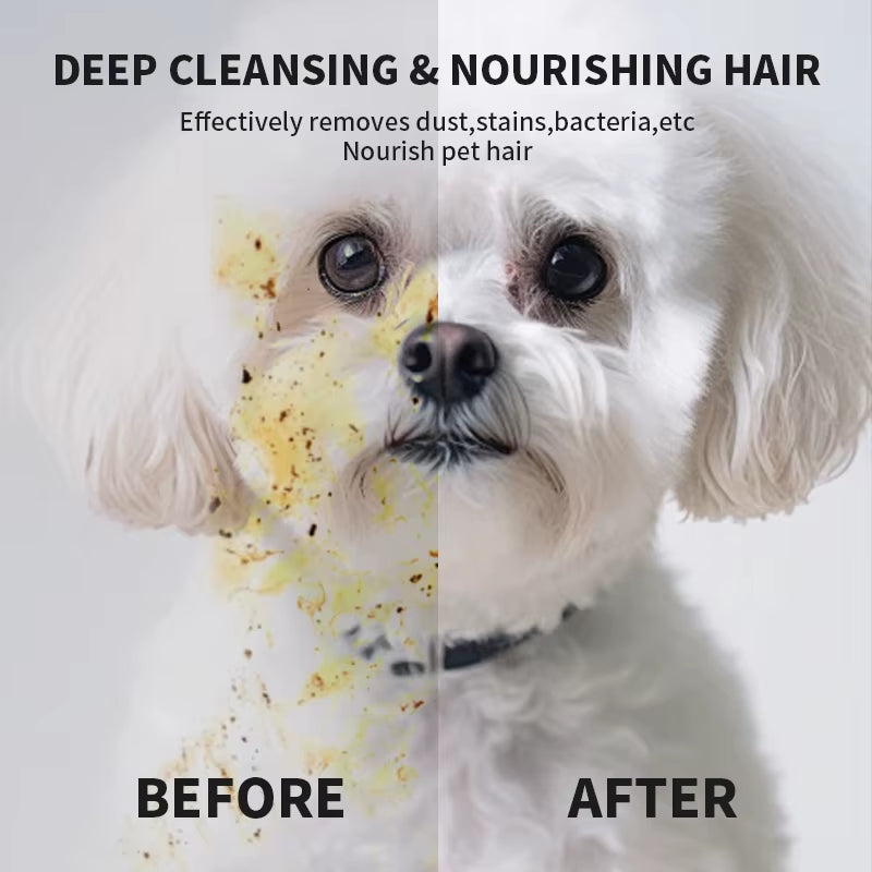 Wash-free gloves: Convenient, gentle deodorizing wipes for cats and dogs.